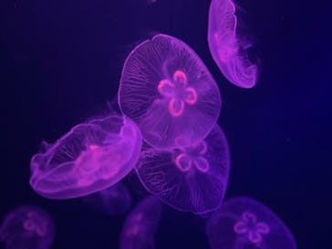 登別マリンパークニクスに投稿された画像（2023/5/5）