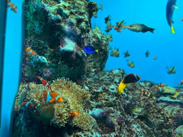 登別マリンパークニクスに投稿された画像（2023/5/5）