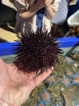 登別マリンパークニクスに投稿された画像（2023/5/5）