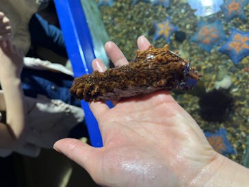 登別マリンパークニクスに投稿された画像（2023/5/5）