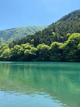 白丸villageに投稿された画像（2023/5/5）