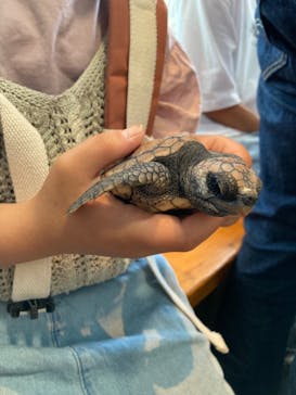 串本海中公園水族館に投稿された画像（2023/5/5）