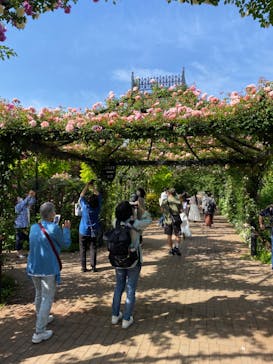 横浜イングリッシュガーデンに投稿された画像（2023/5/5）