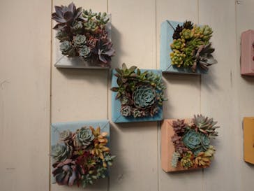 伊豆シャボテン動物公園に投稿された画像（2023/5/5）