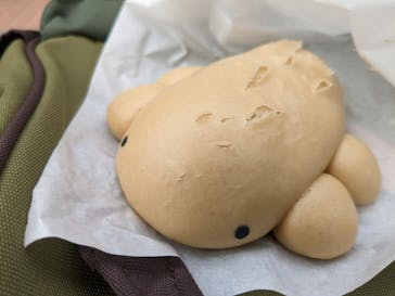 京都鉄道博物館×京都水族館に投稿された画像（2023/5/5）