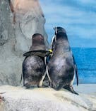 新江ノ島水族館に投稿された画像（2023/5/5）