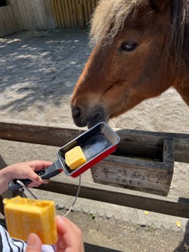 まかいの牧場に投稿された画像（2023/5/5）