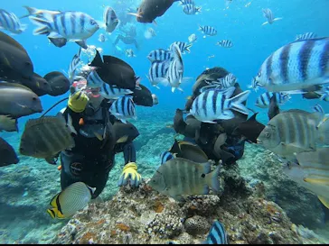 武藤潜水に投稿された画像（2023/5/5）