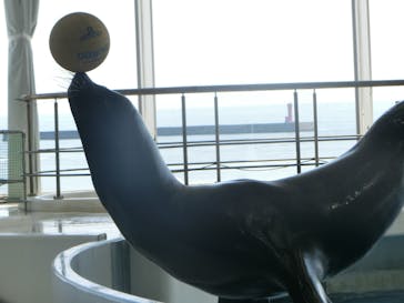 アクアワールド茨城県大洗水族館に投稿された画像（2023/5/5）