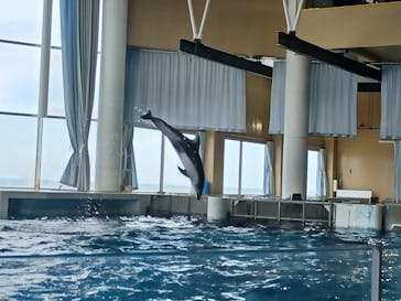 アクアワールド茨城県大洗水族館に投稿された画像（2023/5/5）
