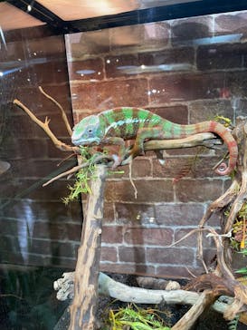 NARA IKIMONO MUSEUMに投稿された画像（2023/5/5）