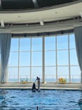 アクアワールド茨城県大洗水族館に投稿された画像（2023/5/5）