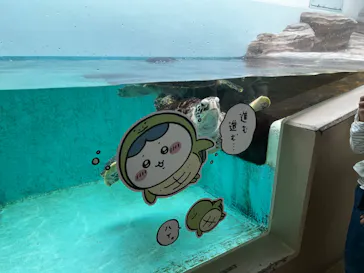 仙台うみの杜水族館に投稿された画像（2023/5/5）