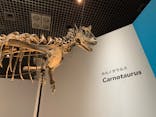 特別展「恐竜博2023」に投稿された画像（2023/5/5）