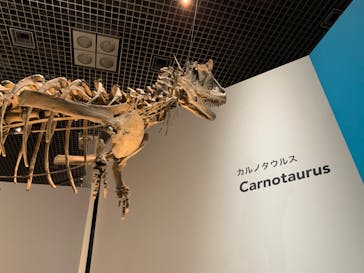 特別展「恐竜博2023」に投稿された画像（2023/5/5）