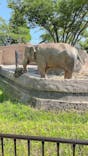 日立市かみね動物園に投稿された画像（2023/5/5）