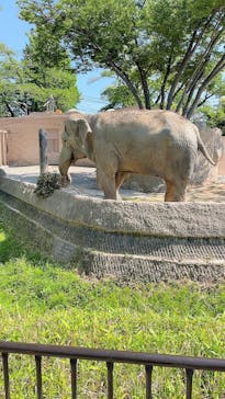 日立市かみね動物園に投稿された画像（2023/5/5）