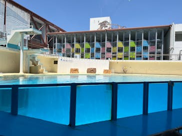 伊豆・三津シーパラダイスに投稿された画像（2023/5/5）