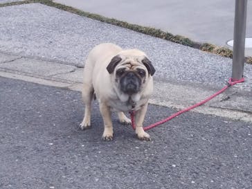 野外民族博物館 リトルワールドに投稿された画像（2023/5/5）