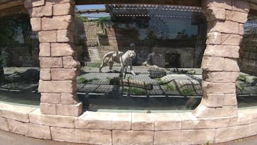 東武動物公園に投稿された画像（2023/5/5）