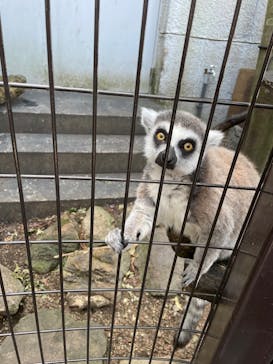 伊豆シャボテン動物公園に投稿された画像（2023/5/5）