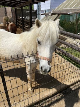 伊豆シャボテン動物公園に投稿された画像（2023/5/5）