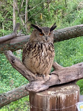 しろとり動物園に投稿された画像（2023/5/5）