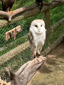 しろとり動物園に投稿された画像（2023/5/5）