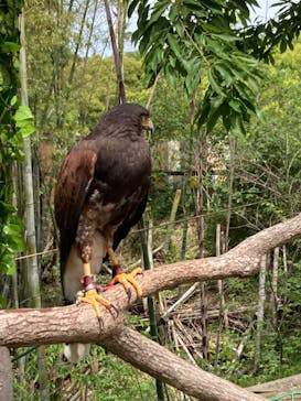 しろとり動物園に投稿された画像（2023/5/5）