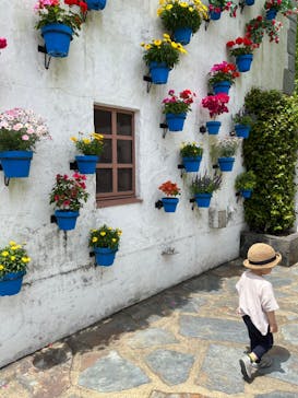 志摩スペイン村パルケエスパーニャに投稿された画像（2023/5/5）