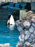 名古屋港水族館に投稿された画像（2023/5/5）
