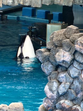 名古屋港水族館に投稿された画像（2023/5/5）