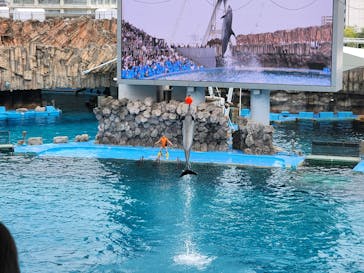 名古屋港水族館に投稿された画像（2023/5/5）