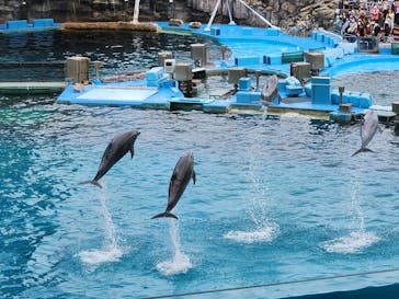 名古屋港水族館に投稿された画像（2023/5/5）