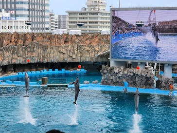 名古屋港水族館に投稿された画像（2023/5/5）