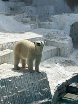 天王寺動物園に投稿された画像（2023/5/5）