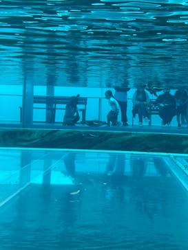 九十九島動植物園森きららに投稿された画像（2023/5/5）