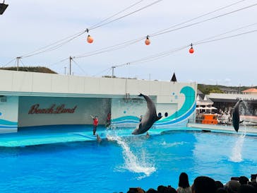 南知多ビーチランド＆南知多おもちゃ王国に投稿された画像（2023/5/5）