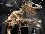 特別展「恐竜博2023」に投稿された画像（2023/5/5）