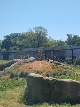 千葉市動物公園に投稿された画像（2023/5/5）