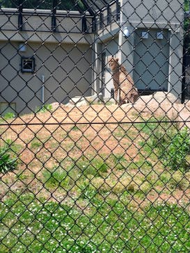 千葉市動物公園に投稿された画像（2023/5/5）