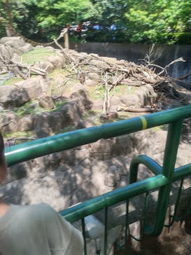 千葉市動物公園に投稿された画像（2023/5/5）
