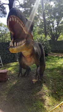 千葉こどもの国 キッズダムに投稿された画像（2023/5/5）