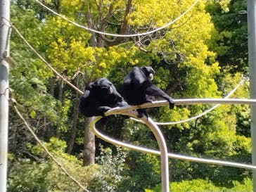 千葉市動物公園に投稿された画像（2023/5/5）