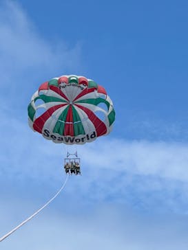 Sea World（シーワールド）に投稿された画像（2023/5/5）