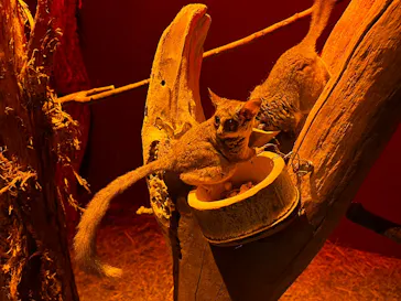 神戸どうぶつ王国に投稿された画像（2023/5/5）