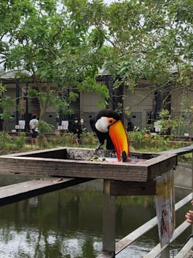 ネオパークオキナワに投稿された画像（2023/5/5）