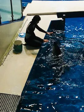 マクセル アクアパーク品川に投稿された画像（2023/5/5）