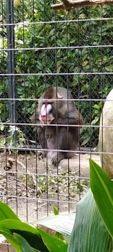 到津の森公園に投稿された画像（2023/5/5）