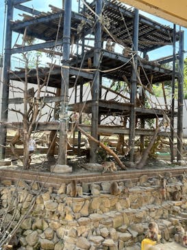 日立市かみね動物園に投稿された画像（2023/5/5）